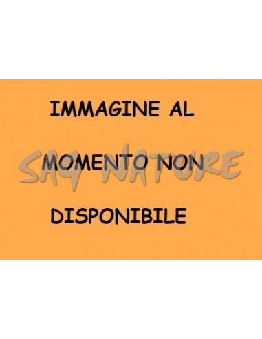 Calzature Laste - DIOTTO