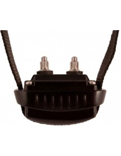 D-Mute Small pour chiens de... 2