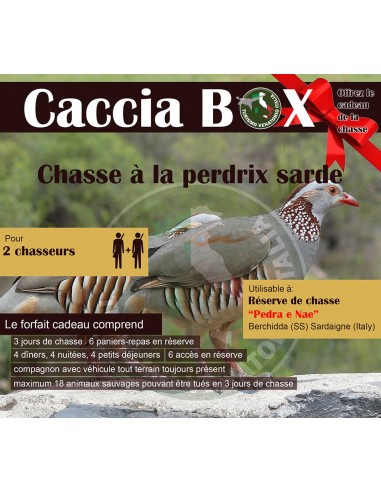 SARDINIA - SARDINIAN PARTRIDGE...