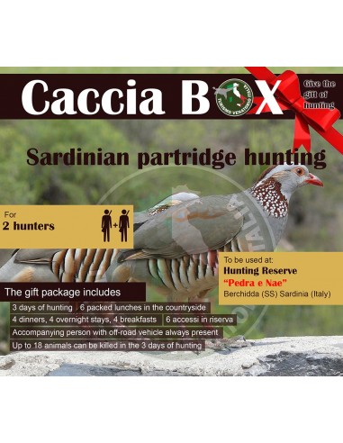 SARDINIA - SARDINIAN PARTRIDGE...