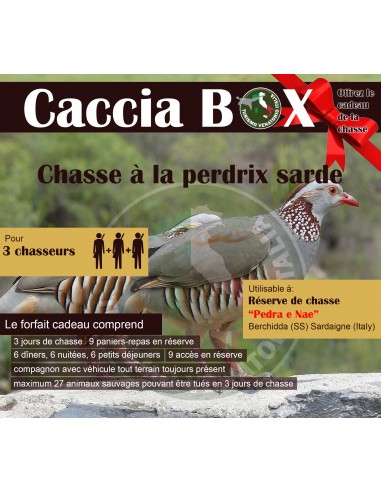 SARDEGNA - CACCIA ALLA PERNICE SARDA...