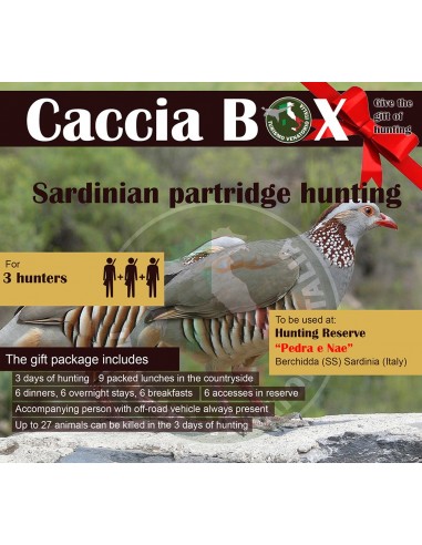 SARDINIA - SARDINIAN PARTRIDGE...