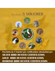 5 VOUCHER DI CERTIFICAZIONE...