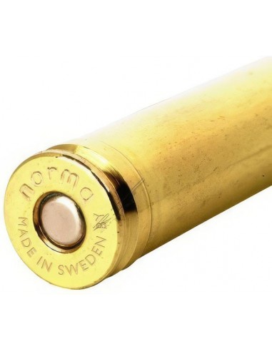 Estuches Calibre 308 Gana 100 piezas...