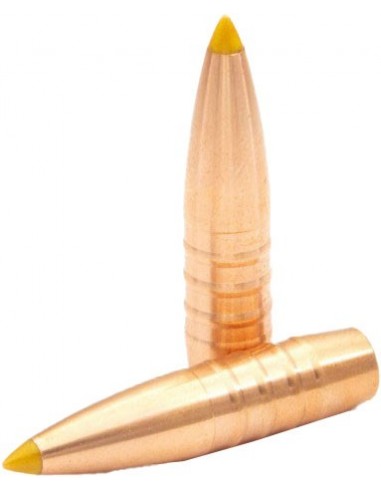 Monolithic copper bullets - Hunting...