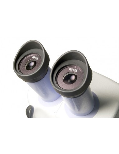 Microscopio Levenhuk 5ST - LEVENHUK