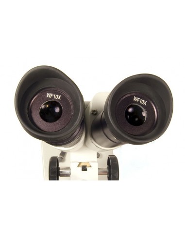 Microscopio Levenhuk 2ST - LEVENHUK