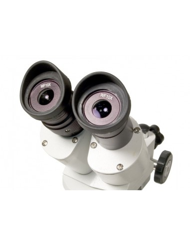 Microscopio Levenhuk 3ST - LEVENHUK