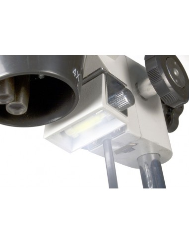 Microscopio Levenhuk 3ST - LEVENHUK