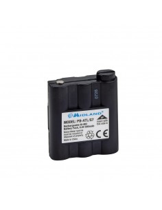 Batteria ricaricabile...