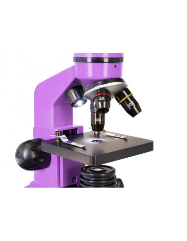 Microscopio Levenhuk Rainbow 2L,...