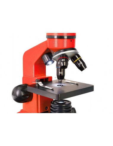 Microscopio Levenhuk Rainbow 2L,...