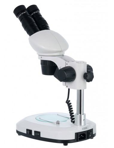 Microscope binoculaire 4ST - LEVENHUK