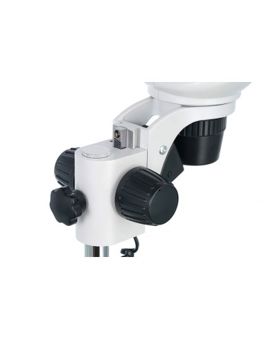 Microscope binoculaire 4ST - LEVENHUK