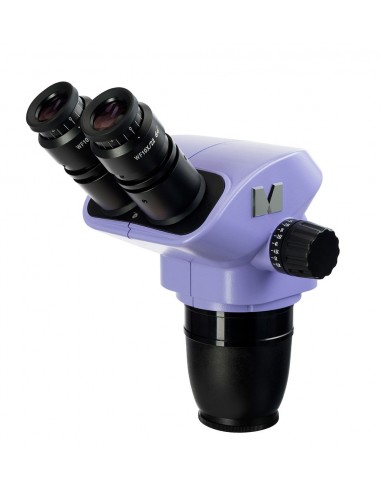 MAGUS Stereo 8BH microscope head - MAGUS