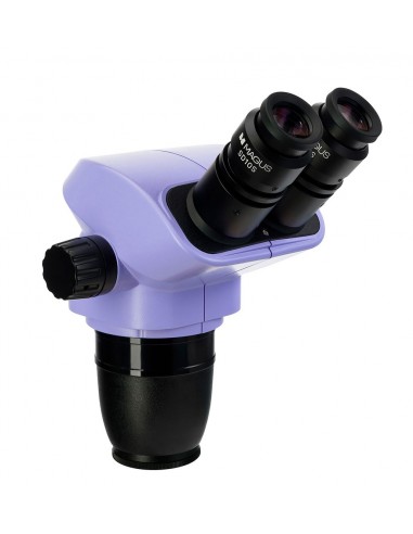 Testata del microscopio MAGUS Stereo...
