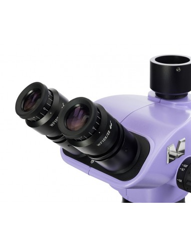 Testata del microscopio MAGUS Stereo...