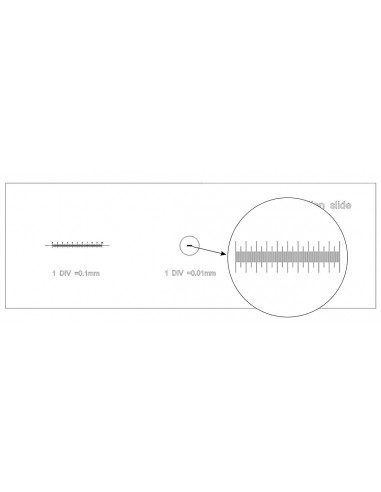 Levenhuk 3 calibration slide - LEVENHUK