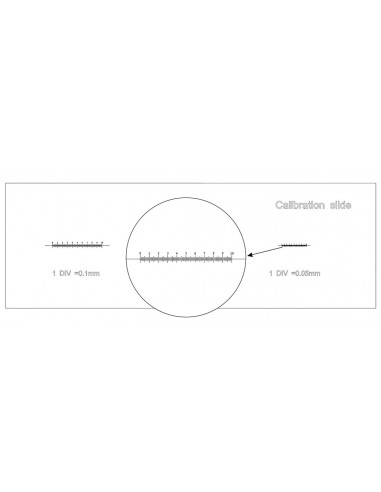Levenhuk 3 calibration slide - LEVENHUK