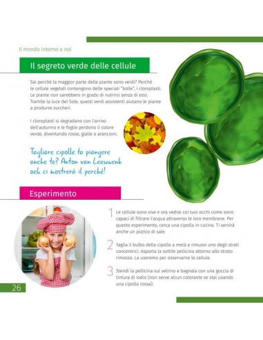 Microscopio Levenhuk Discovery Micro...