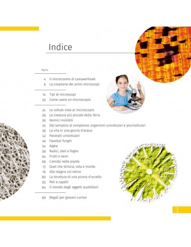 Microscopio Levenhuk Discovery Micro...