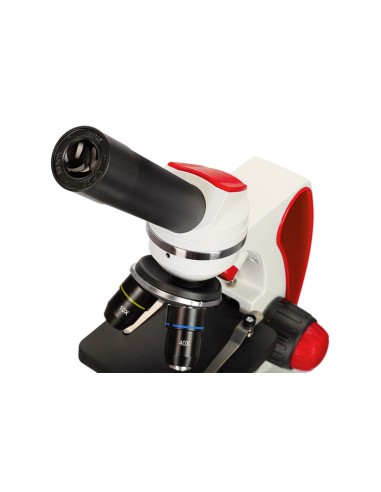 Microscopi Levenhuk Discovery Pico -...