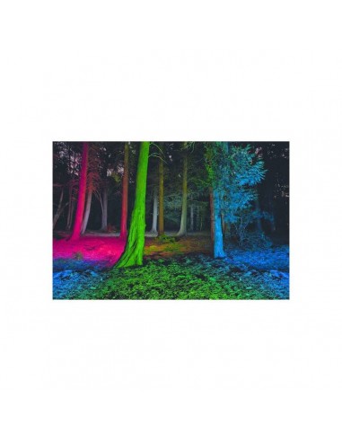 Torcia multicolore P7QC - LED LENSER