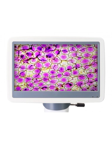 Levenhuk D85L LCD digital microscope...