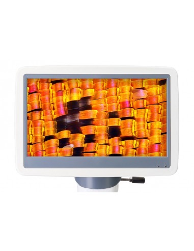 Levenhuk D95L LCD digital microscope...