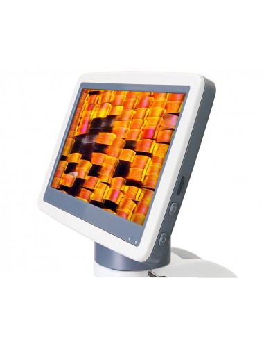 Microscopio digitale Levenhuk D95L...