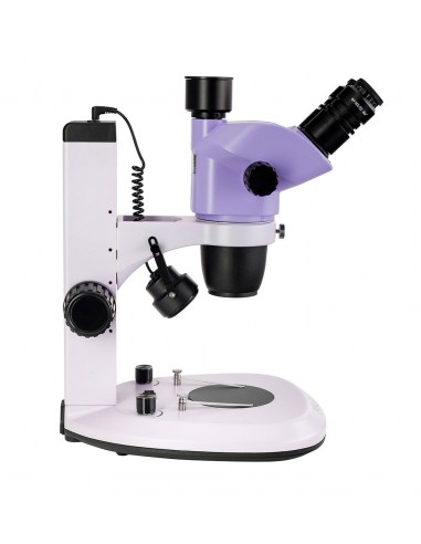 MAGUS Stereo 7T stereoscopic...