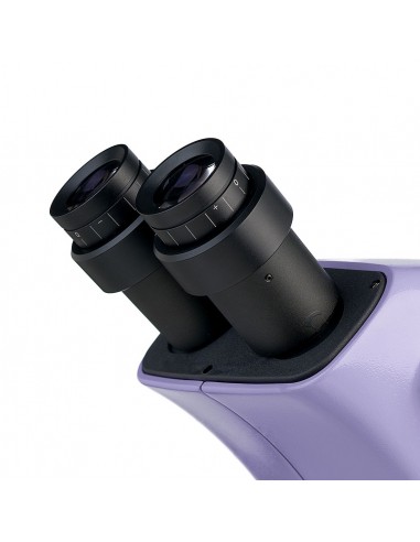 Microscope stéréoscopique MAGUS...