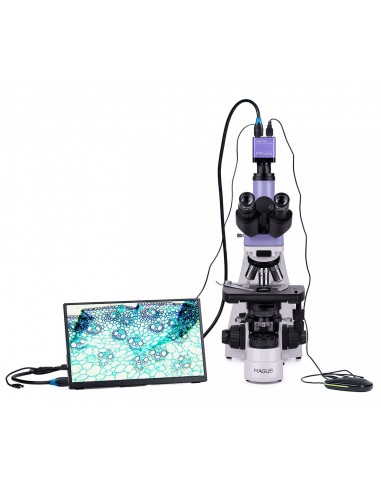 MAGUS Bio D230T LCD biological...