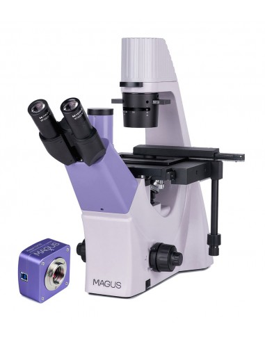 Microscopio biologico invertito...