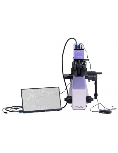 MAGUS Bio VD300 LCD digital inverted...