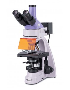 Microscopio de...