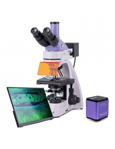 Microscope numérique à fluorescence...