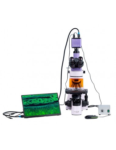 Microscope numérique à fluorescence...