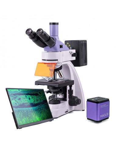 Microscope numérique à fluorescence...