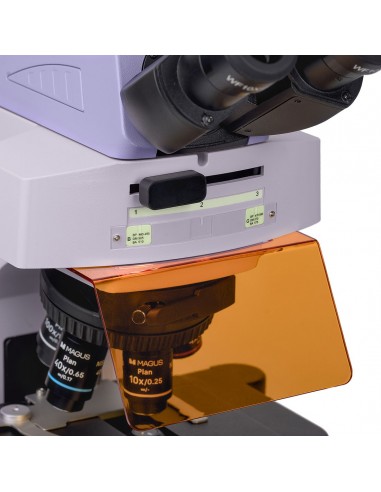 Microscope à fluorescence MAGUS Lum...