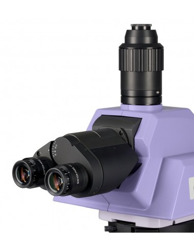 Microscopio biologico MAGUS Bio 290T...