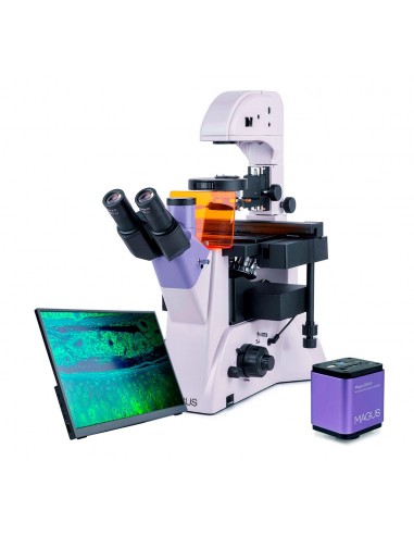 Microscope numérique à fluorescence...