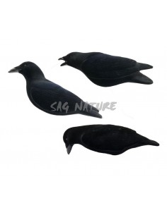 Set Corvo Floccato -...