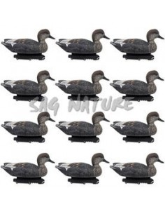 Last Step Male Gadwall Set... 2