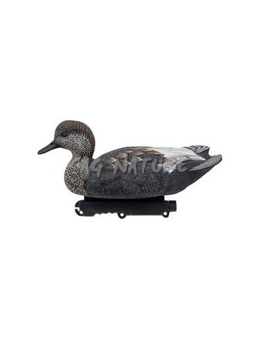 Ensemble Canard chipeau mâle Last...