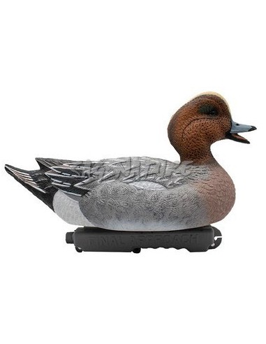 Male and Female Wigeon Set - 6 Piece...