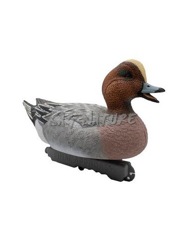 Male and Female Wigeon Set - 6 Piece...