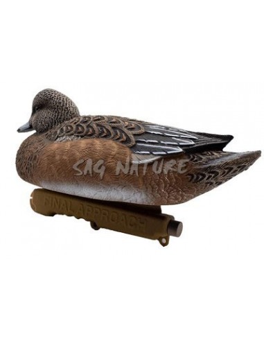 Male and Female Wigeon Set - 6 Piece...