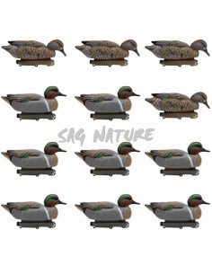 Male and Female Teal Set -...