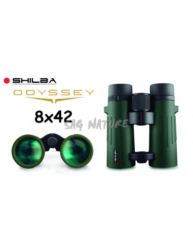 Binocolo Odyssey 8x42  - SHILBA